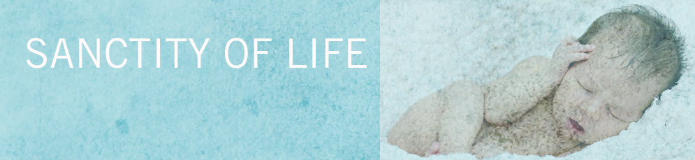 Blog-SANC.OF_.LIFE-blue